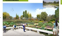 安徽公园爆料视频播放